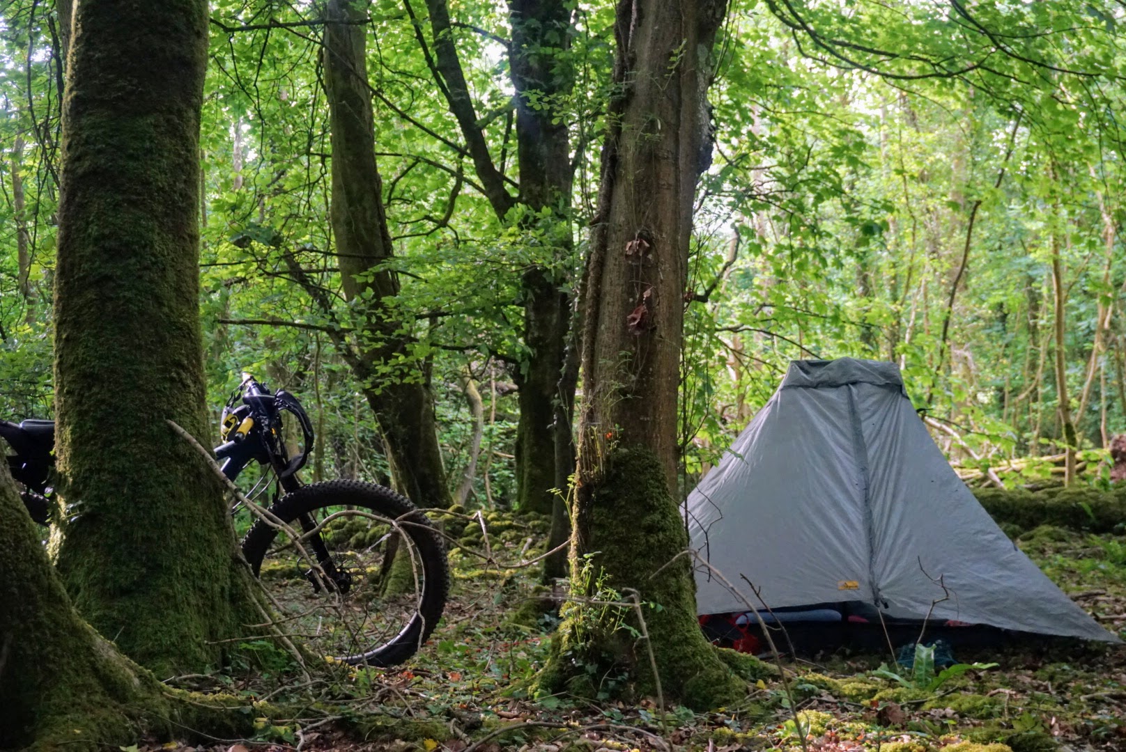 Best tent for outlet bikepacking